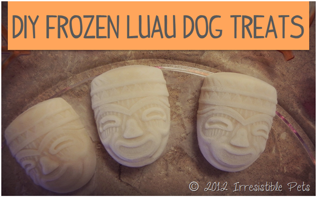 DIY Frozen Luau Dog Treats