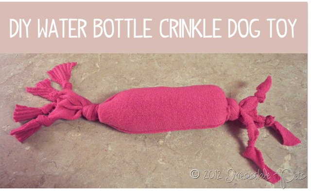 DIY Water Bottle Crinkle Dog Toy